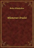 Kłamstwo brudzi - ebook