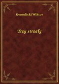 Trzy strzały - ebook