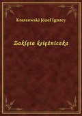 Zaklęta księżniczka - ebook