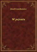 W pejzażu - ebook