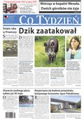 polityka, społeczno-informacyjne: Co Tydzień – e-wydanie – 19/2024