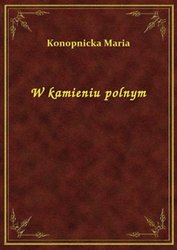 : W kamieniu polnym - ebook